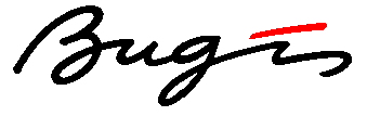 logo BUGIS SAS 
